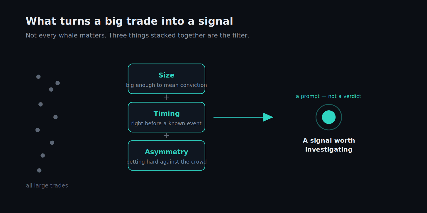 A funnel showing many grey trades entering, three filters of size, timing and asymmetry, and one signal worth investigating emerging